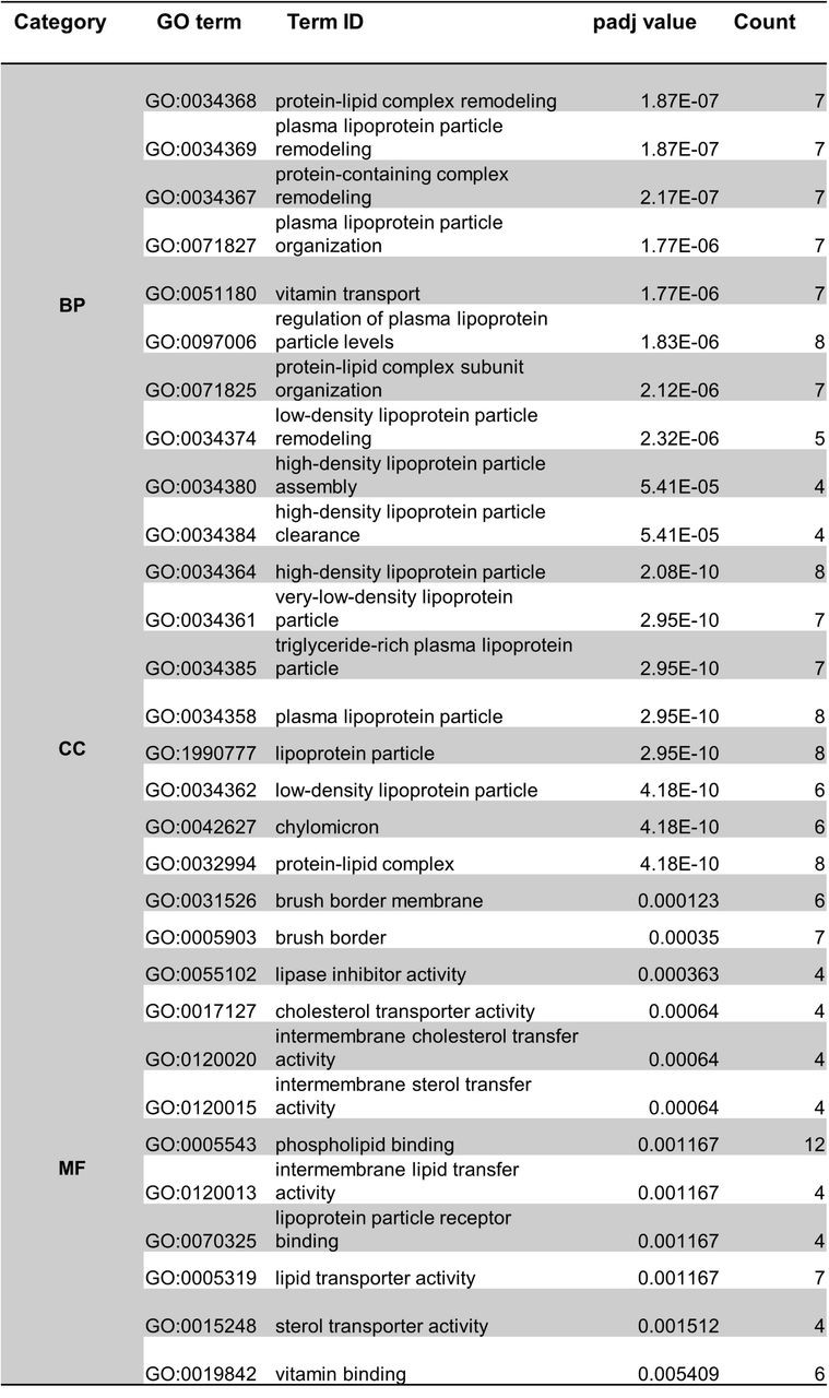 Top 10 GO terms identified from the preferentially enriched DEGs in female THC placentas. The top 10 GO terms separated by category; Biological Process (BP), Molecular Function (MF), and Cellular Component (CC). Count refers to the number of DEGs that are annotated to each specific GO term. A comprehensive list of all significantly enriched GO terms can be found in Supplemental File 3.