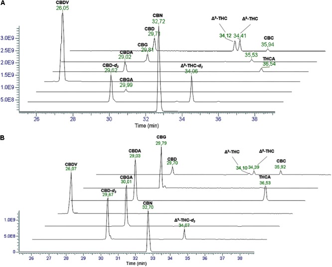 Extracted Ion Chromatograms (EICs) in positive (A) and negative (B) ionization mode of a mix solution of cannabinoid standards (1 μg/mL). From the top: CBD, Δ9-THC and Δ8-THC ([M+H]+ 315.2319, [M–H]- 313.2173), CBG ([M+H]+ 317.2475, [M–H]- 315.2330), CBDA and THCA ([M+H]+ 359.2217, [M–H]- 357.2071), CBDV ([M+H]+ 287.2006, [M–H]- 285.1860), CBGA ([M+H]+ 361.2373, [M–H]- 359.2228), internal standards (IS) (2 μg/mL) CBD-d3 and THC-d3 ([M+H]+ 318.2517, [M–H]- 313.2361), and CBN ([M+H]+ 311.2006, [M–H]- 309.1860).