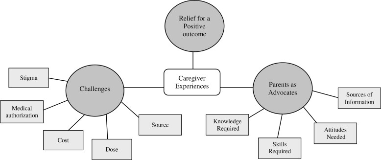 Overview of categories and subcategories pertaining to caregiver experiences with medical cannabis.