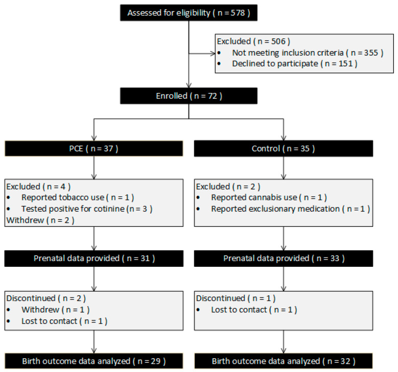 Subject disposition flow diagram.