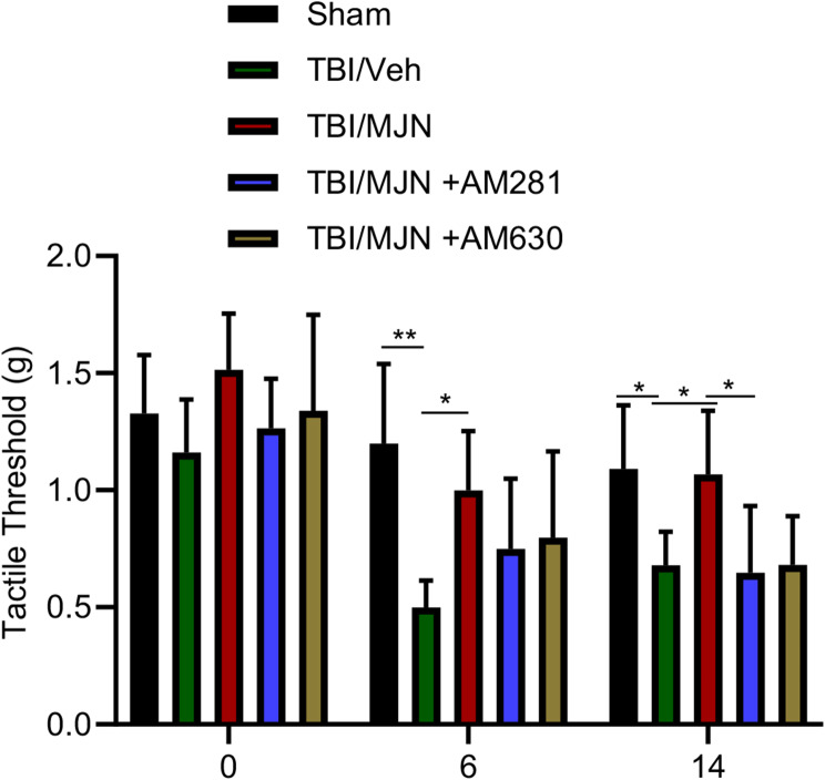 The anti-nociceptive effect of MJN110 in the mTBI mice was dependent on the cannabinoid receptor activation. MJN was co-administered with either the CB1R antagonist AM281 (3 mg/kg) or the CB2R receptor antagonist AM630 (3 mg/kg) in the mTBI mice once a day for a total of 7 days. Treatment with MJN showed a significant reduction of allodynia at 6 and 14 days post-TBI. Combination of MJN with AM630 partially reversed MJN110 mediated anti-allodynic effect on days 6 and 14; while combination of MJN with AM281 resulted in significantly decreased tactile threshold compared to the MJN alone treated group on day 14. *p < 0.05 and **p < 0.01 (n = 15/group)
