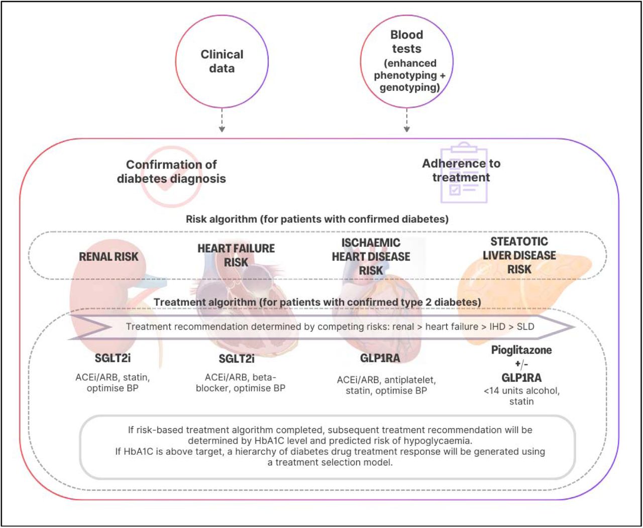 An overview of iDiabetesPlus. ACEi: angiotensin-converting enzyme inhibitor; ARB: angiotensin receptor blocker; BP: blood pressure; IHD: ischaemic heart disease; GLP1RA: glucagon-like-peptide 1 receptor agonist; SGLT2i: sodium-glucose transporter 2 inhibitor; SLD: steatotic liver disease; 1 unit of alcohol = 8g of ethanol.