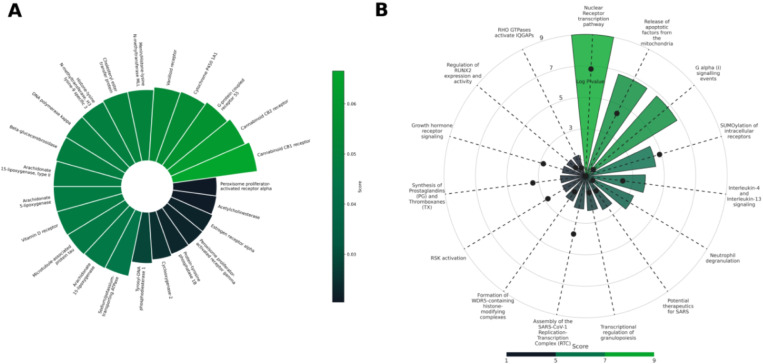 A case study on cannabis oil from the experimental studies. (A) The predicted targets for the cannabis oil formulation were ranked according to the predictive scores suggesting that CB1 and CB2 are top targets for the given formulation (B) Mapped pathways for the targets predicted were plotted elucidating the involvement of the targets in nuclear receptor transcription factor and G alpha (i) signaling events pathways.