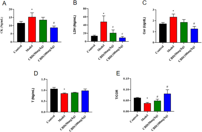 Effect of CBD on CK, T, Cor and LDH parameters in experimental rats. (A) CK (n = 6, one-way ANOVA). (B) LDH (n = 6, one-way ANOVA). (C) Cor (n = 6, one-way ANOVA). (D) T (n = 6, one-way ANOVA). (E) T/COR (n = 6, one-way ANOVA). All date are expressed as mean ± S.D. *p < 0.05 compared with the control group. # p < 0.05 compared with the model group.