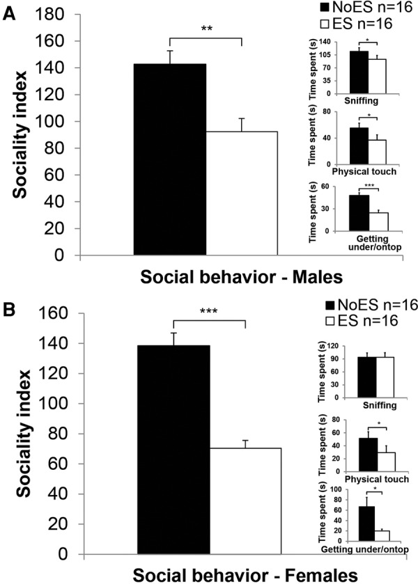 Male and female rats exposed to early stress demonstrate reduced social behavior in the social interaction test. ES males (A) and females (B) demonstrated reduced social behavior on P23 compared with NoES males. (Inset) specific variables from the juvenile social interaction test are provided, demonstrating a significant difference between No ES and ES males on variables such as physical touch and getting under/on top. (*P < 0.05; **P < 0.01; ***P < 0.001).