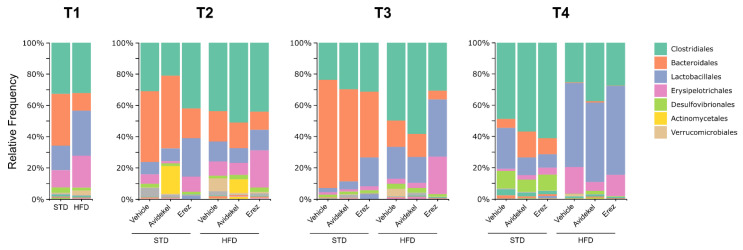 The relative frequency (%) of microbial taxa at the order level in mice gut microbiota samples. Each vertical bar represents the average fecal sample of the respective treatment group at four different time points (T1—a month after starting HFD; T2—a day before the start of treatment; T3—one day after the start of the treatment; and T4—day of sacrifice). Data are shown as percentages (n = 4–7).