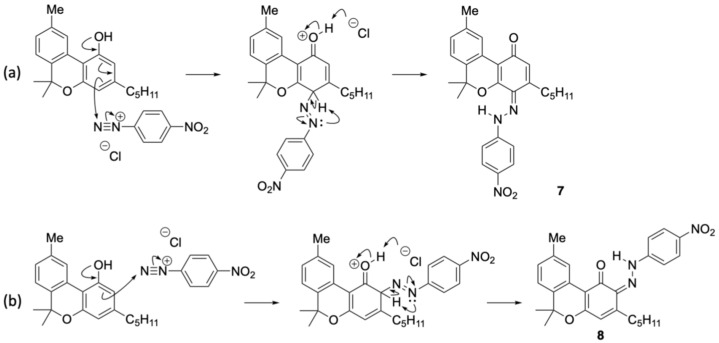 Proposed formation mechanisms of (a) 7 and (b) 8.