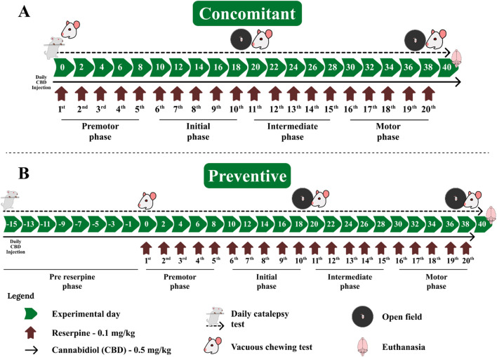 Experimental design of cannabidiol administration (A) concomitant and (B) preventive protocols relative to repeated reserpine-induced parkinsonism. The green arrows correspond to experimental days of the protocol; the dark red arrows correspond to alternate day administration of reserpine; the continuous black arrows correspond to daily CBD administration; and the dashed black arrow corresponds to daily catalepsy tests.