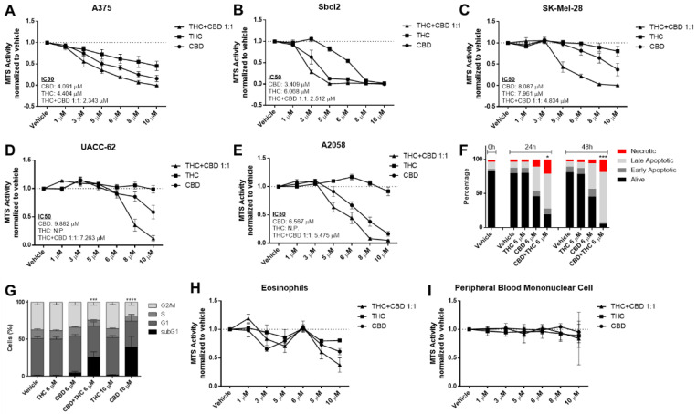 Cannabinoids decrease cell viability of melanoma cell lines but not in non-cancerous control cells in a concentration-dependent way. (A–E) Cell viability levels were assessed by MTS assay of different melanoma cell lines treated with increasing dosage of cannabidiol (CBD), tetrahydrocannabinol (THC) or a combination of both (1:1 ratio) for 24 h. (F) A2058 melanoma cells were treated with 6 µM of CBD, 6 µM of THC or a combination of both for 24 and 48 h, followed by AnnexinV/PI staining and flow cytometric analysis. Alive cells were AnnexinV/PI negative, early apoptotic cells were AnnexinV positive but PI negative, late apoptotic cells were AnnexinV/PI double positive and necrotic cells were only PI positive. (G) A2058 cells were treated with 6 or 10 µM of CBD or THC or a 6 µM combination of CBD and THC for 24 h. Flow cytometric cell cycle analysis was performed using PI staining. (H,I) Eosinophils and peripheral blood mononuclear cells were treated with increasing concentrations of CBD, THC or a combination of both (C + T; 1:1 ratio) for 24 h, followed by cell viability assessment by MTS assay. All experiments were performed in duplicates and at least 5 times. Data are presented as mean ± SD; ns = not significant; * = p < 0.05; ** = p < 0.01; *** = p < 0.001 and **** = p < 0.0001; IC50 = half maximal inhibitory concentration; N.P. = not possible.