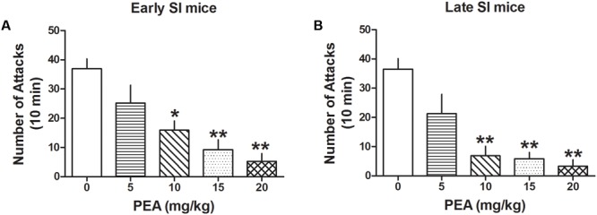 The endocannabinoid PEA strongly decreases aggressive behavior in early and late SI mice. PEA at the doses of 5, 10, 15, and 20 mg/kg was administered both to early (A) and late (B) SI mice 60 min before the exposure to a resident–intruder test. The EC50 values were 8 and 6.5 mg/kg, respectively. Data represent the mean ± SEM of 7–17 mice. ∗p < 0.01; ∗∗p < 0.001, when compared with basal control levels of aggression.
