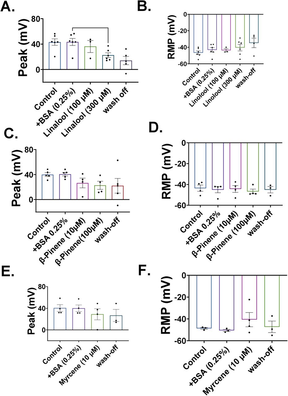 The effects of individual terpenes on neuronal firing.The effects of (A, B) linalool (n=xx), (C, D) β-pinene (n=xx), and (E, F) myrcene (n=) on (A, C, E) peak action potential amplitude and (B, D, F) RMP. For both β-pinene and Linalool, higher concentrations were required to block the current compared to myrcene, which acted at much lower concentrations. The inhibition by individual terpenes failed to reverse following wash-off. Data shown are mean ± SEM (Individual data points are also shown; n = 4). * p < 0. 05.
