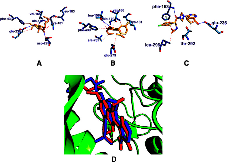 3E88 in combination with A THC (orange), B cannabidiol (orange), and C ipatasertib (orange). The blue lines show hydrogen bond interactions, the red lines depict hydrophobic interactions, and the green line depicts pi stacking interaction. D The binding poses of the re-docked (blue) and the co-crystallized compound (red) within the catalytic domain of 3E88