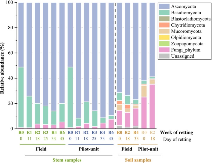Fungal relative abundance at phylum level in unretted and retted stem and soil samples in field and pilot unit over the retting period. R0: Unretted samples, R1, R2, R3, R4, and R6 correspond to retted samples after 1, 2, 3, 4, and 6 weeks of retting.