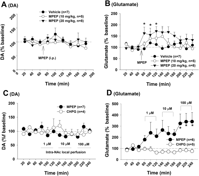 Effects of MPEP alone on basal extracellular DA and glutamate in the NAc in rats. (A,B) Systemic administration of MPEP did not alter basal extracellular DA, but significantly elevated extracellular glutamate. (C,D) Intra-NAc local perfusion of MPEP failed to alter extracellular DA, but elevated extracellular glutamate in a concentration-dependent manner. Intra-NAc local perfusion of CHPG did not produce significant changes in DA or glutamate. *p < 0.05, compared to pre-treatment baseline.