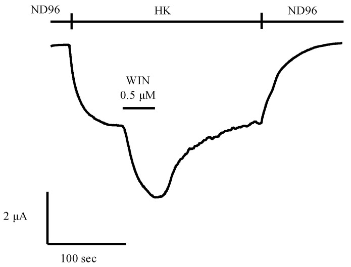 Cannabinoid agonist WIN-55,212-2 (WIN) activated inwardly rectifying potassium currents in oocytes co-expressing GIRK1/2 + RGS4 with CB1. Currents were induced by exchanging ND96 with HK while the oocytes were voltage-clamped at −90 mV. Current enhancement observed on application of 0.5 μM WIN in the presence of HK. In the final, oocytes were perfused with ND96. The experiment was repeated in at least 4 oocytes. In the case of CB2, a similar approach is followed. ND96: physiological salt buffer solution (96 mM NaCl, 2 mM MgCl2, 2 mM KCl, 5 mM HEPES, and 1.8 mM CaCl2, with a final pH of 7.5), HK: high potassium solution for the measurement of K+ currents through GIRK1/2 channels (96 mM KCl, 2 mM NaCl, 1 mM MgCl2, 1.8 mM CaCl2, 5 mM HEPES with a final pH of 7.5).