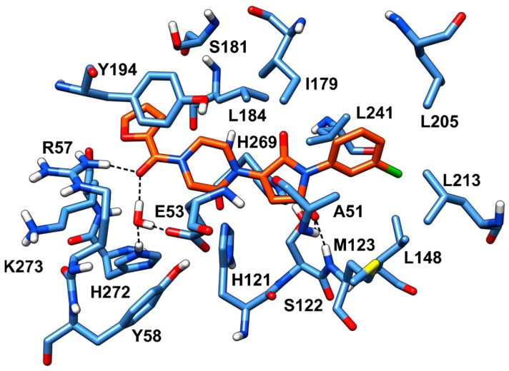 Minimized average structure of VS2 within MAGL binding site.