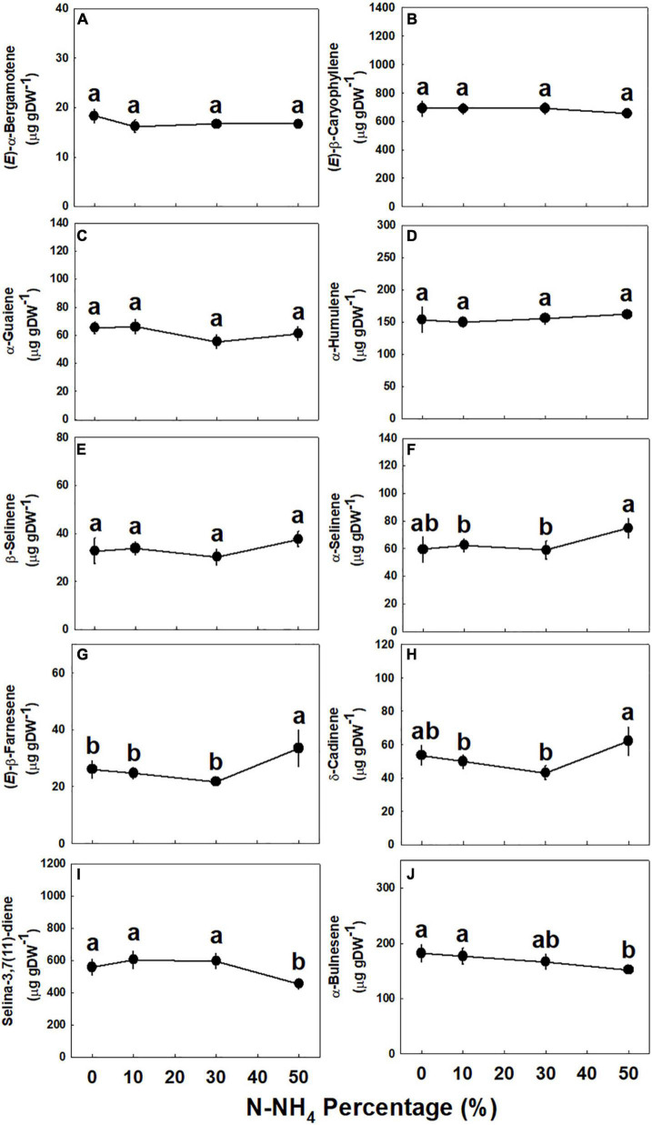 Effect of NH4/NO3 ratio on sesquiterpene concentration in the top inflorescence of medical cannabis plants. (E)-α-Bergamotene (A), (E)-β-caryophyllene (B), α-guaiene (C), α-humulene (D), β-selinene (E), α-selinene (F), (E)-β-farnesene (G), δ-cadinene (H), selina-3,7(11)-diene (I), and α-bulnesene (J). Presented data are averages ± SE (n = 5). Different small letters above the means represent significant differences between treatments by Tukey HSD test at α = 0.05.