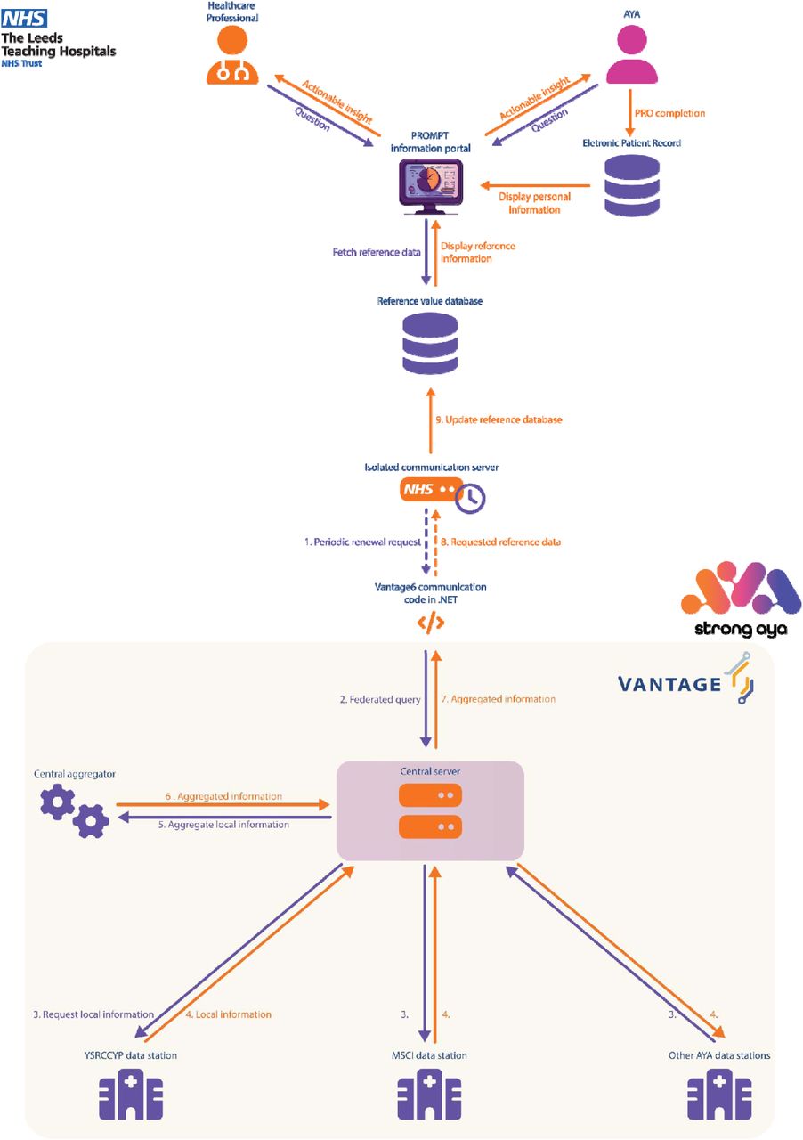 Workflow of populating the PROMPT information portal using reference data coming from the STRONG AYA ecosystem.Abbreviations: AYA: Adolescent and young adult; MSCI: Maria Skłodowska-Curie National Research Institute of Oncology; PRO: Patient reported outcome; YSRCCYP: Yorkshire Specialist Register of Cancer in Children and Young People.