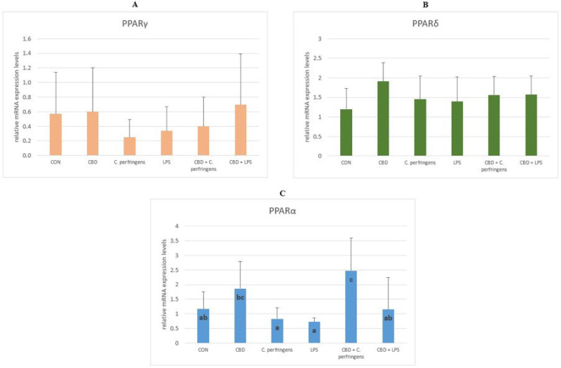 The relative mRNA expression levels (normalized to the glyceraldehyde-3-phosphate dehydrogenase and β-actin expression levels as the most accurate endogenous control gene) of (A) peroxisome proliferator-activated receptor delta (PPARδ), (B) peroxisome proliferator-activated receptor gamma (PPARγ), and (C) peroxisome proliferator-activated receptor alpha (PPARα) in the jejunum tissue of chickens. The chickens were fed a control diet (CON), CON supplemented with 30 g of hemp extract/kg diet (CBD), CON diet and subjected to E. coli LPS and C. perfringens challenge (LPS and C. perfringens), and CON diet supplemented with 30 g of hemp extract/kg diet and subjected to E. coli LPS and C. perfringens (CBD + LPS and CBD + C. perfringens). Significant differences are indicated by different letters (p < 0.05). The error bars indicate the pooled standard deviations in each dietary treatment group for the eight chickens.