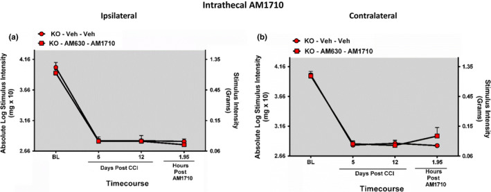Intrathecal AM1710 anti‐allodynia efficacy requires CB2R actions. (a, b) Intrathecal pretreatment with the CB2R selective antagonist AM630 30 min before i.t. administration of AM1710 blocks the anti‐allodynia effects of AM1710 in CB1R KO mice. Data reflect mean ± SEM, n = 6 mice per group
