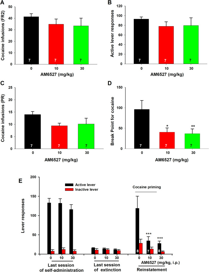 The effects of AM6527 on cocaine self-administration and reinstatement of cocaine-seeking behavior in rats.AM6527 failed to alter the total number of cocaine infusions A or active lever presses B under an FR2 schedule of reinforcement. AM6527 reduced cocaine self-administration under a PR schedule of reinforcement as assessed by the total number of cocaine infusions C and breakpoint for cocaine self-administration D. E AM6527 attenuated 10 mg/kg cocaine-triggered reinstatement of drug-seeking behavior. *p < 0.05; ** p < 0.01, ***p < 0.001, compared to the vehicle control group.