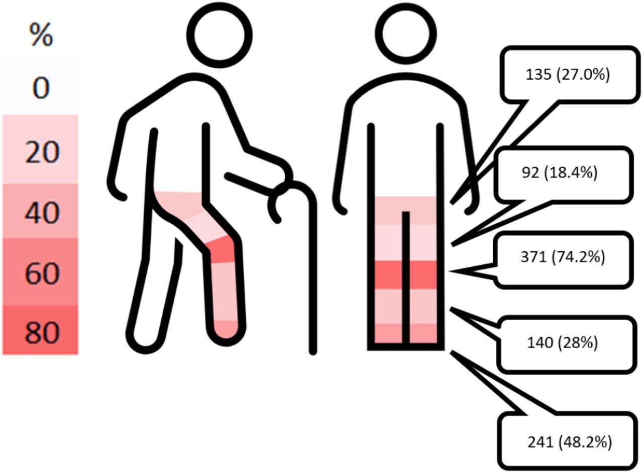 Prevalence of self-reported pain or discomfort in the hip, thigh, knee, calf, ankle or foot, reported as n (%)