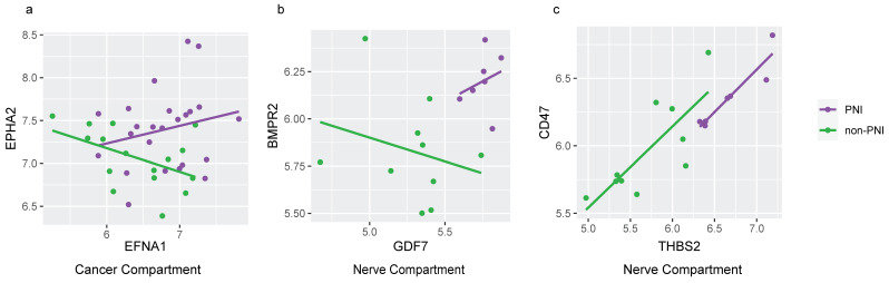 Receptor–ligand expression in cancer and nerve compartments in PNI and non-PNI foci. Scatterplots of normalized gene expression of significant differentially expressed ligand–receptor pathways (LPRs), obtained using BulkSignalR (adjusted p value < 0.20) with superimposed linear model line. (a) EPHA2 (receptor) and EFNA1 (ligand) expression in cancer compartment of PNI (purple) and non-PNI (green). (b) BMPR2 (receptor) and GDF7 (ligand) expression in nerve compartment of PNI (purple) and non-PNI (green). (c) CD47 (receptor) and THBS2 (ligand) expression in nerve compartment of PNI (purple) and non-PNI (green).