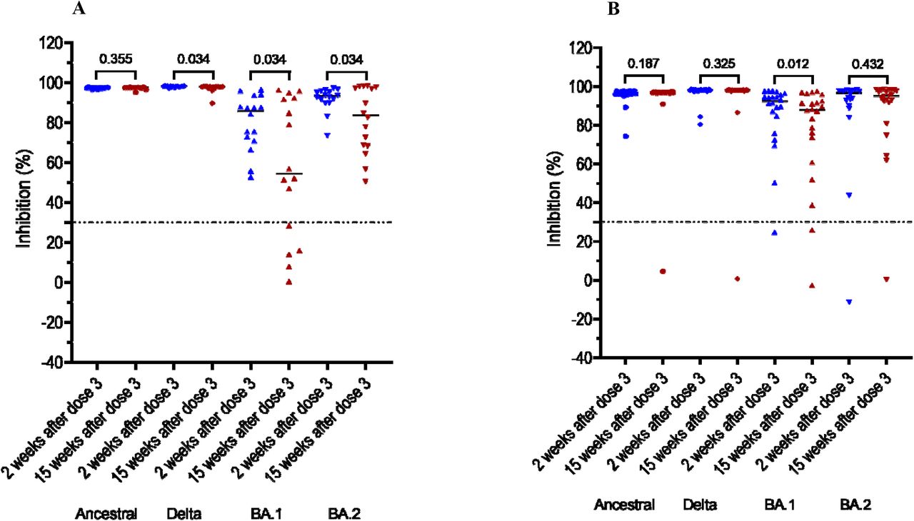 Persistence of neutralising antibodies at month 3 after the booster dose in those without documented breakthrough infection after the booster dose, A) participants of G1, and B) participants of G2. Horizontal dot lines indicate assay cut-off, Numbers indicates p values.