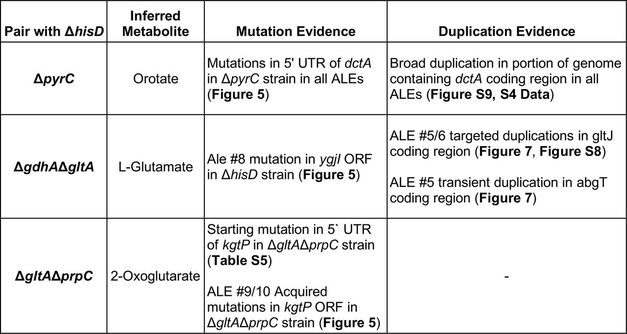 Metabolite being cross-fed by the ΔhisD strain to its partner strain, as inferred from sequencing data