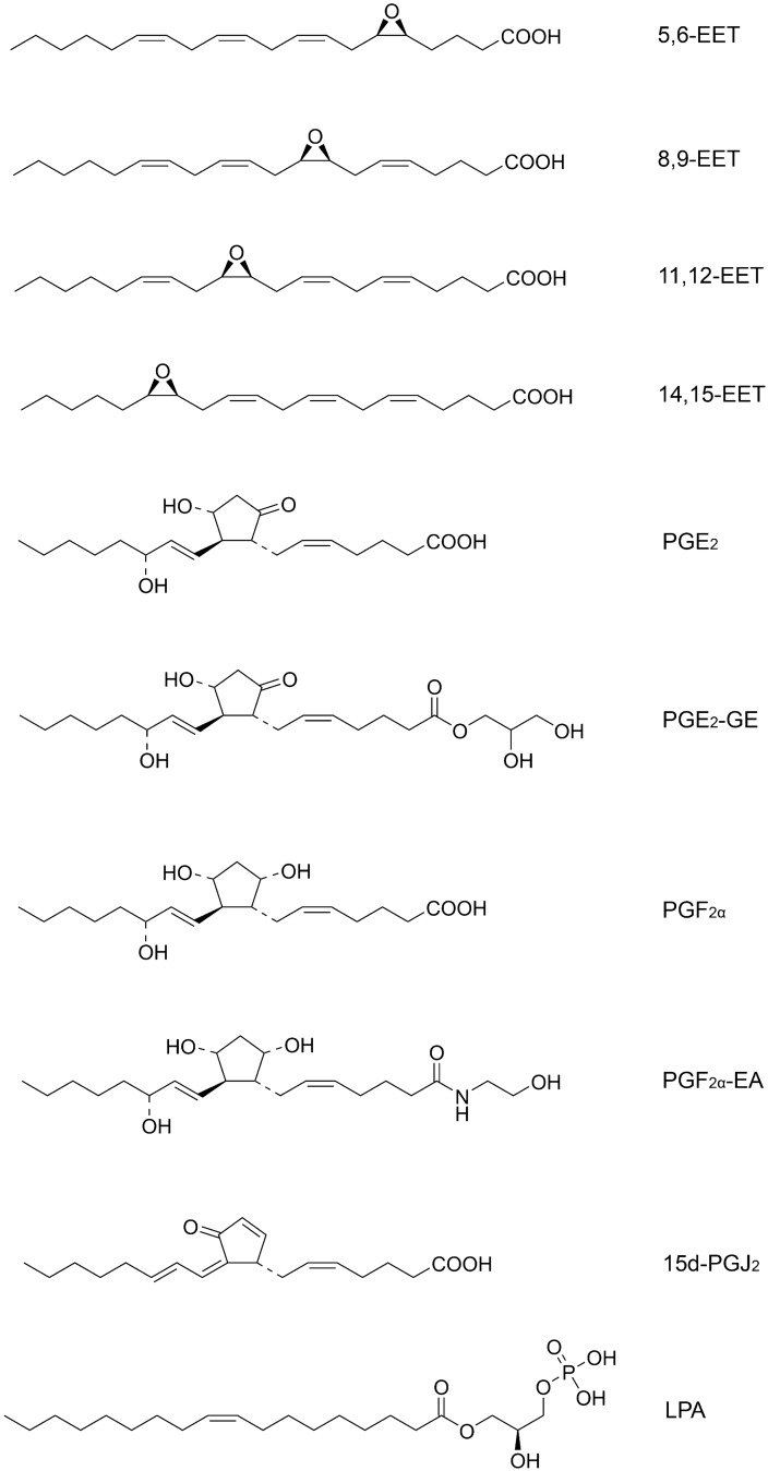 Structures of the ligands examined in this study.