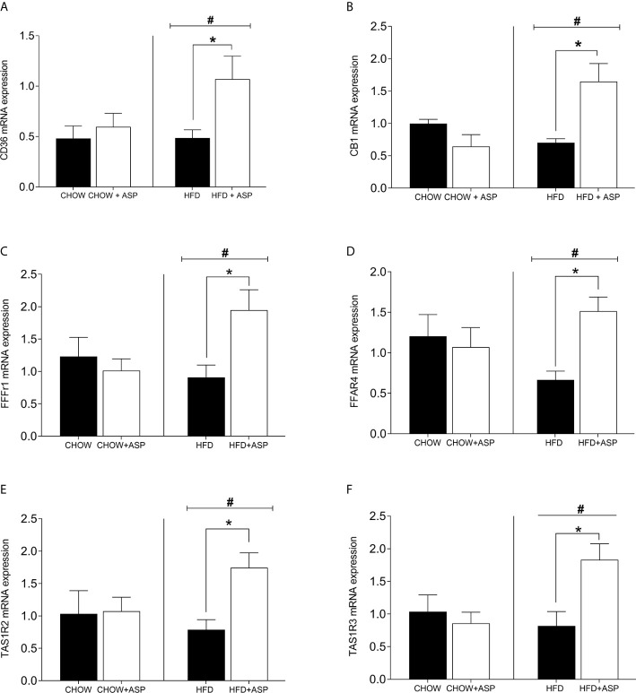 mRNA levels of taste receptors in the tongue. (A) Cluster of differentiation 36 (CD36); (B) Cannabinoid receptor 1 (CB1R); (C) Free fatty acid receptor 1 (FFAR1); (D) Free fatty acid receptor 4 (FFAR4); (E) Taste receptor type 1 member 2 (TAS1R2); (F) Taste receptor type 1 member 3 (TAS1R3). n=6–9. High fat diet (HFD), asperuloside (ASP). Results are expressed as mean ± SEM. Data were analyzed by two-way ANOVA with animal diet and drug treatment as factors. ANOVA results were then followed by a post hoc analysis using Fisher’s least significant difference test (LSD). *Significant ASP effect vs non-treated diet control (p < 0.05); #Significant overall diet effect (HFD and HFD+ASP) vs (CHOW and CHOW+ASP) (p < 0.05).