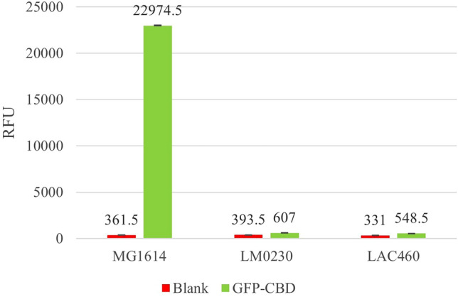 Fluorescence of Lactococcus strains mixed with purified HGFPuv_CBDLysL protein measured by a fluorescence plate reader. Blank, cells without added HGFPuv_CBDLysL protein, i.e., background fluorescence from the cells. RFU relative fluorescence unit. Error bars represent standard deviation of two duplicates