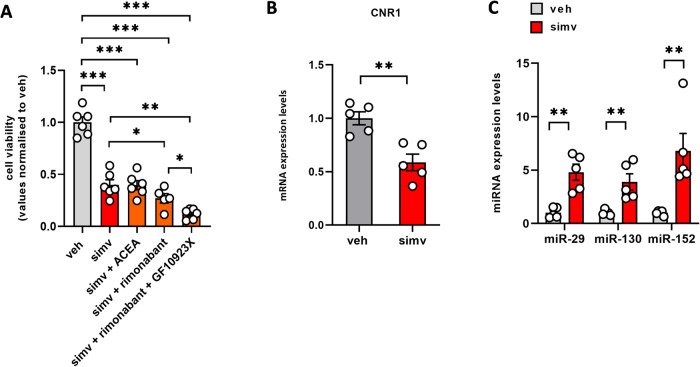 Effect of simvastatin on ECS activity in primary human myoblasts.A Bar graph with individual points showing the effect of simvastatin 30 µM in co-administration or not with CB1-targeting drugs (ACEA 1 µM or rimonabant 1 µM) in combination or not with GF10923X (5 µM) on cell viability measured by MTT in primary human myoblasts. B expression levels of CNR1 mRNA (C) and miRNAs targeting CNR1. Each bar is the mean ± S.E.M. from five independent biological samples. **= p ≤ 0.01 versus the indicated experimental groups.