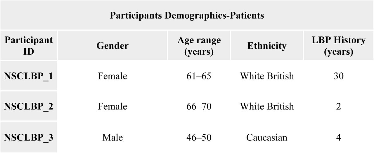 Participants’ (patients) demographics of age, gender, ethnicity and LBP history.