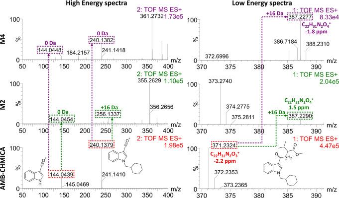 Elucidation of hydroxylated AMB-CHMICA metabolites by UHPLC-HRMS.Low energy and high energy spectra for parent compound, metabolite M2, and metabolite M4 are shown. Red text and dashed lines refer to AMB-CHMICA, green to metabolite M2, and purple to metabolite M4. Mass errors have been calculated in parts per million (ppm), as follows: \documentclass[12pt]{minimal} \usepackage{amsmath} \usepackage{wasysym} \usepackage{amsfonts} \usepackage{amssymb} \usepackage{amsbsy} \usepackage{mathrsfs} \usepackage{upgreek} \setlength{\oddsidemargin}{-69pt} \begin{document}$${{{{{\rm{ppm}}}}}}=\frac{{{{{{\rm{accurate}}}}}}\; {{{{{\rm{mass}}}}}}-{{{{{\rm{exact}}}}}}\; {{{{{\rm{mass}}}}}}}{{{{{{\rm{exact}}}}}}\; {{{{{\rm{mass}}}}}}}\cdot {10}^{6}$$\end{document}ppm=accuratemass−exactmassexactmass⋅106.