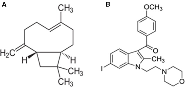 Chemical structure of β-caryophyllene (A) and AM630 (B).