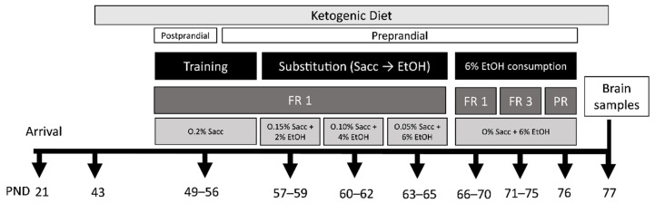 Experimental design for the 1st set of mice. FR, fixed ratio; PR, progressive ratio; PND, postnatal day; Sacc, saccharin; EtHO, ethanol.