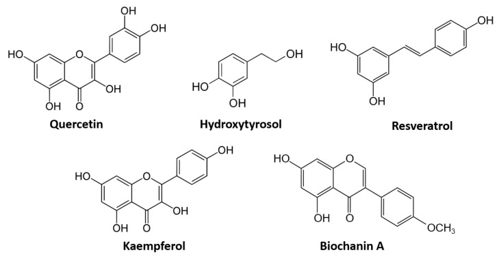 Most represented polyphenol and flavonoid molecules in the literature.
