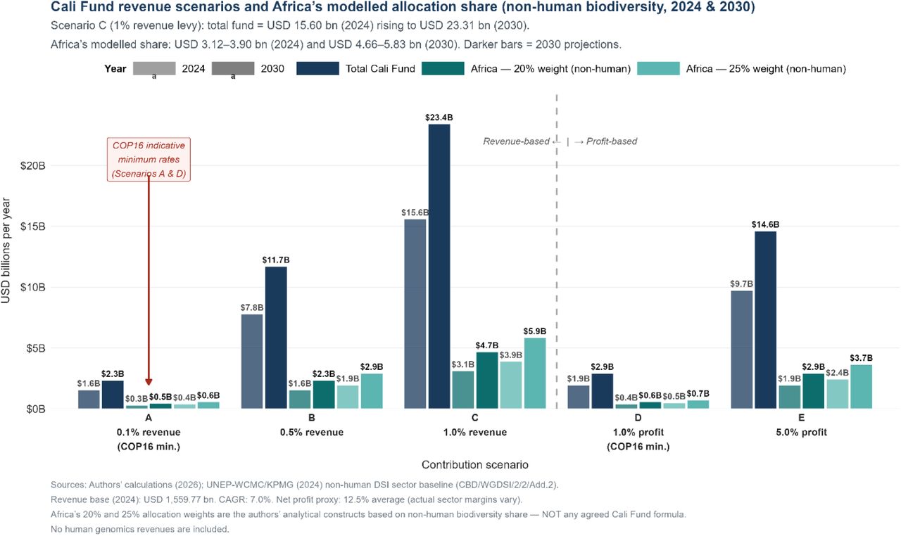 Grouped bar chart: Cali Fund Scenarios A-E, total fund vs Africa modelled allocation share at 20% and 25% non-human biodiversity weight.