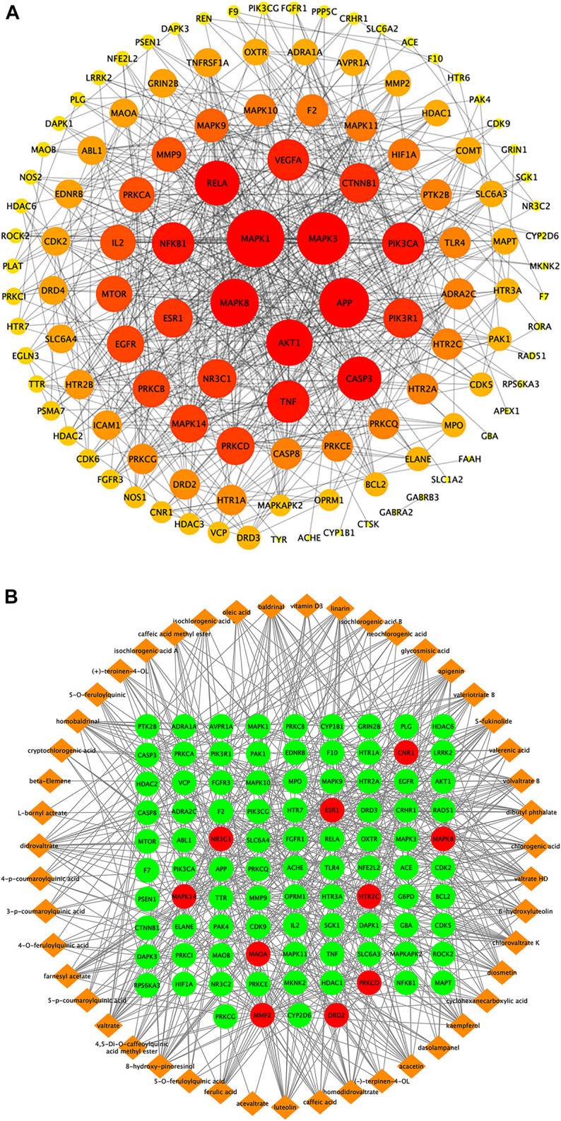 Target proteins interaction network, ingredient-target network, and compound–target–pathway network of potential targets for primary active ingredients from ZZX against PTSD. (A) Interaction network of ZZX target proteins involved in PTSD; (B) ZZX active ingredient–target network associated with PTSD.
