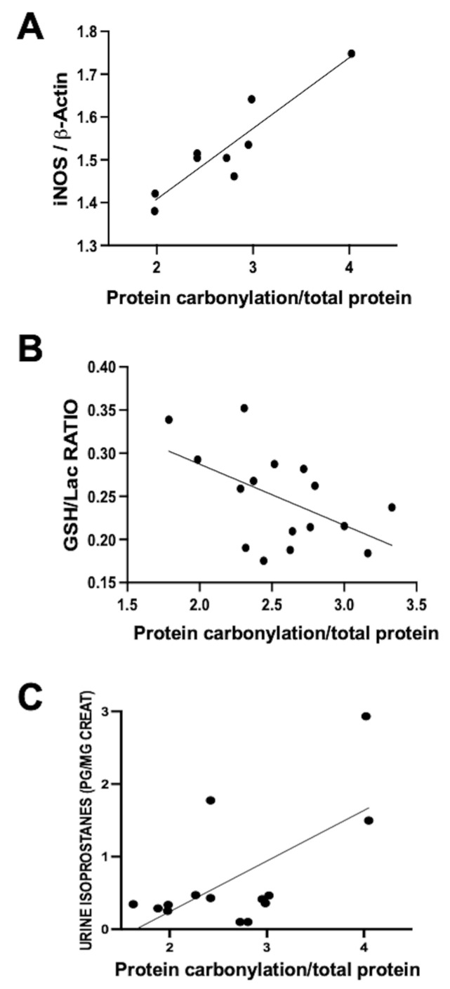 Relationship between protein carbonylation in the brain and different biomarkers of oxidative stress ((A,B): in brain samples; (C): in urine) in 1- to 3-day-old piglets 6 h after a hypoxic–ischemic insult (bilateral carotid artery occlusion plus exposure to FiO2 10% for 30 min). Simple linear regression ((A): y = 0.1654 × X + 1.077, R2 = 0.84, p = 0.0005; (B): y = −0.07080 × X + 0.4289, R2 = 0.27, p = 0.03; (C): y = 0.6972 × X − 1.153, R2 = 0.41, p = 0.01). iNOS: inducible nitric oxide synthase; GSH: reduced glutathione; Lac: lactate. The figures show results from analyses carried out on data obtained from the studies described in references [20,21].