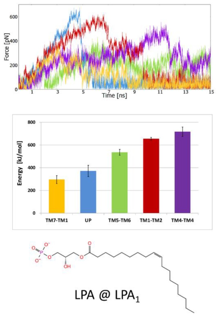 SMD simulations of the orthosteric ligand (S)-lysophosphatidic acid ((S)-LPA) pulling from LPA1 receptor crystal structure (PDB ID: 4Z34). The panel layout and the meaning of the colors are the same as in Figure 3.