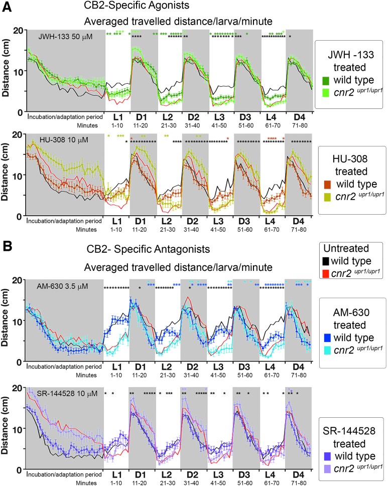 PDR in untreated and CB2 agonist (JWH-133 and HU-308)- and CB2 antagonist (AM-630 and SR-144528)-treated wild-type and cnr2upr1/upr1 6-dpf larvae. (A) Averaged distance traveled per minute by JWH-133-treated (top panel, 50 μM) wild type (dark green line and squares) and cnr2upr1/upr1 (light green line and squares); and HU-308-treated (bottom, 10 μM) wild type (brown line and squares) and cnr2upr1/upr1 (khaki line and squares). (B) Averaged distance traveled per minute by AM-630-treated (top panel, 3.5 μM) wild type (dark blue line and squares) and cnr2upr1/upr1 (light blue line and squares); and SR-144528 (bottom, 10 μM) wild type (purple line and squares) and cnr2upr1/upr1 (pink line and squares). Control-untreated wild-type (black line) and cnr2upr1/upr1 larvae (red line) are represented in filigree in each graph. Error bars represent the SEM. Statistical significance compares (1) treated wild type versus treated mutant=black* in all graphs, (2) untreated mutant versus treated mutant=light green* in (A)-top panel, khaki* in (A)-bottom panel, light blue* in (B)-top panel, and pink* in (B)-bottom panel, (3) untreated wild type versus treated wild type=green* in (A)-top panel, brown* in (A)-bottom panel, dark blue* in (B)-top panel, and purple* in (B)-bottom panel. *p<0.05, **p<0.01, ***p<0.001, and ****p<0.0001, and for clarity ns is omitted.