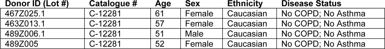 HPMEC donor information (Promocell)