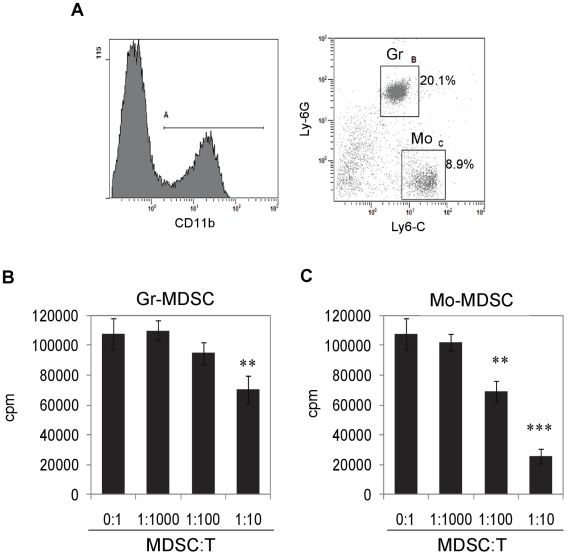Identification of MDSC subsets induced by CBD in liver and their suppressive activity.Liver infiltrating cells were isolated from ConA+CBD injected mice at 12 h. Cells were triple-stained for CD11b, Ly6-G and Ly-6C, and analyzed by FACS. A) Cells were gated for CD11b+ expression (histogram) and further analyzed for Ly6-G and Ly6-C antigens (dot plot). Representative dot plot shows percentages of CD11b+Ly6-G+Ly6-C+ granulocytic MDSCs (Gr-MDSC) and CD11b+Ly6-G–Ly6-C+ monocytic MDSCs (Mo-MDSC). B & C) MDSC subsets were purified by FACS sorting and used in T cell proliferation assay in vitro at different ratios with syngenic purified T cells stimulated with ConA. T cell proliferation was assessed by [3H]thymidine incorporation at 48 h. T cells cultured without MDSCs and with ConA served as the positive control. Data are mean ± SEM for triplicate determinations and representative of two separate experiments. **p<0.01, ***p<0.001, based on Student's t test.