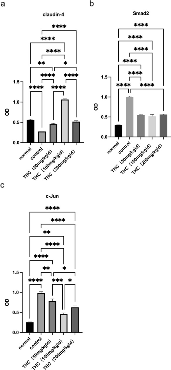 a THC upregulated the expression of claudin-4 compared with that in the control group. b, c Quantitative real-time PCR indicated that THC decreased the expression of c-Jun and Smad2 (*p < 0.05, **p < 0.01, ***p < 0.001). n = 3/group