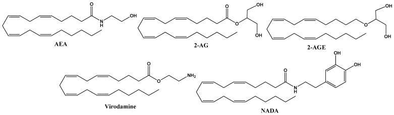 Chemical structure of endocannabinoid derivates from arachidonic acid, including anandamide (AEA), 2–arachidonoyl glycerol (2–AG), 2-arachidonoyl–glycerol (2–AGE), O-arachidonoyl-ethanolamine (virodamine) and N-arachidonoyl-dopamine (NADA).