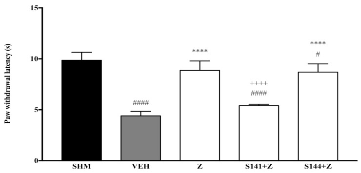 The effect of cannabinoid receptor antagonists’ co-administration with zerumbone on thermal hyperalgesia CCI-induced neuropathic pain mice. Each column represents the mean ± SEM, n = 6 mice per group. # p < 0.05, #### p < 0.0001 as compared to the sham group, **** p < 0.0001 as compared to the vehicle group and ++++ p < 0.0001 as compared to the zerumbone-treated group. Sham (SHM), Vehicle (VEH: 10 mL/kg, i.p.), Zerumbone (Z: 10 mg/kg, i.p.), Antagonists; SR141716, CB1 (S141: 1 mg/kg, i.p.), SR144528, CB2 (S144: 1 mg/kg, i.p.).