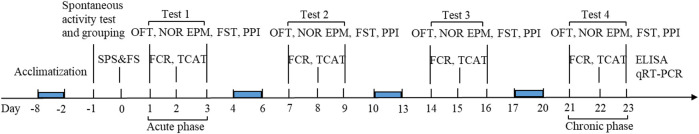 Schematic representation of the experimental procedure. OFT, open-field test; NOR, novel object recognition; FCR, fear-conditioning response; TCAT, traumatic cue avoidance test; EPM, elevated plus maze test; FST, forced swimming test; PPI, prepulse inhibition.
