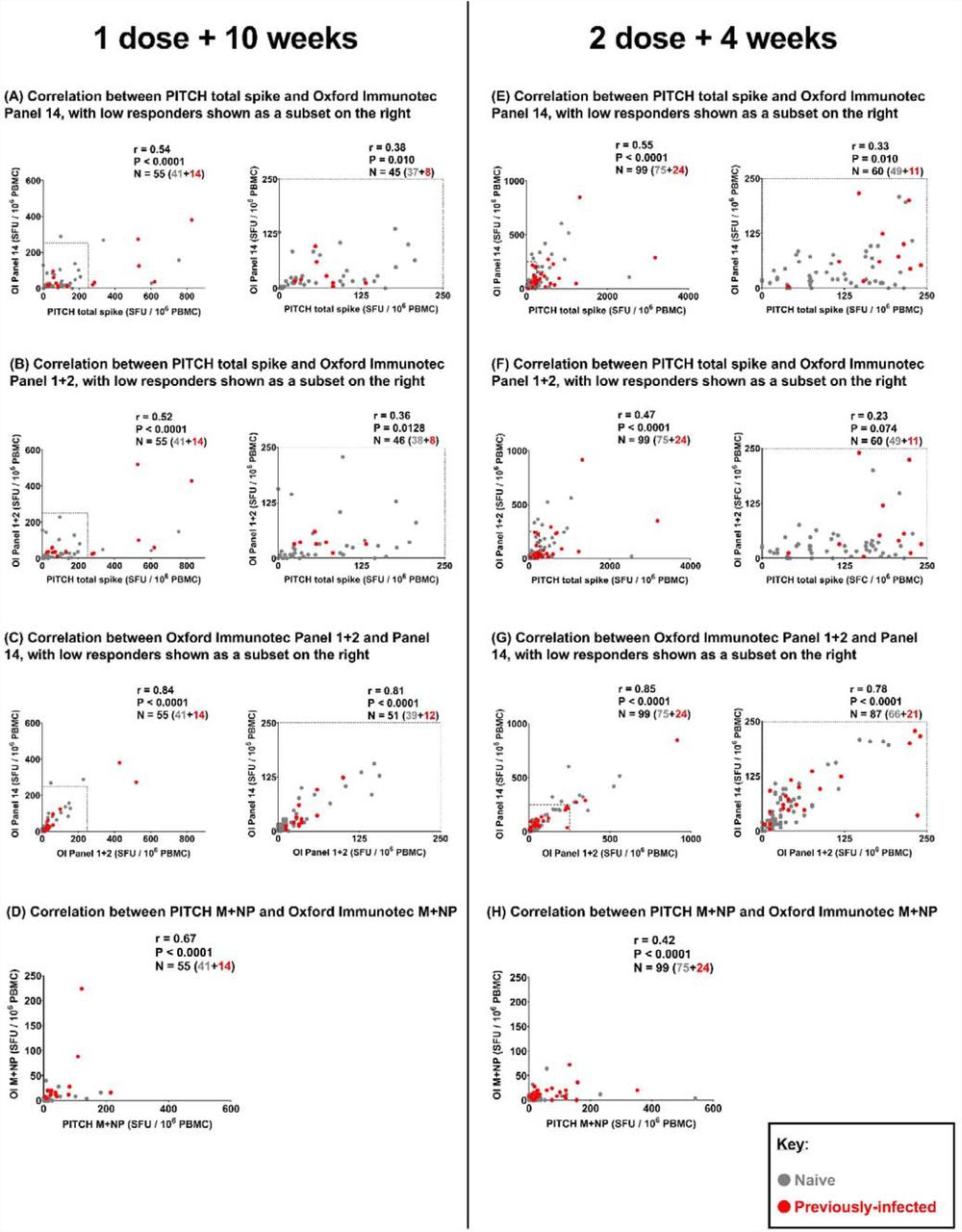 Correlation between T cell responses to SARS-CoV-2 spike and structural proteins measured by in-house PITCH ELISpot and OI T-SPOT assay.(A-C) Correlation between T cell responses to SARS-CoV-2 spike protein measured at 1 dose + 10 weeks timepoint by 3 different panels: PITCH total spike, Oxford Immunotec Panel 1+2 and Oxford Immunotec Panel 14. n=55 (n=41 naïve, n=14 previously infected). (A) Correlation between PITCH total spike and Oxford Immunotec Panel 14 at 1 dose + 10 weeks, with low responders (≤250 SFC/106 PBMC) delineated by a dotted-line in the graph on the left and represented in the graph on the right (n=45 total; n=37 naïve and n=8 previously-infected). (B) Correlation between PITCH total spike and Oxford Immunotec Panel 1+2 at 1 dose + 10 weeks, with low responders (≤250 SFC/106 PBMC) delineated by a dotted-line in the graph on the left and represented in the graph on the right (n=46 total; n=38 naïve and n=8 previously-infected). (C) Correlation between Oxford Immunotec Panel 1+2 and Panel 14 at 1 dose + 10 weeks, with low responders (≤250 SFC/106 PBMC) delineated by a dotted-line in the graph on the left and represented in the graph on the right (n=51 total; n=39 naïve, n=12 previously-infected). (D) Correlation between T cell responses to SARS-CoV-2 membrane and nucleocapsid (M+NP) protein at 1 dose + 10 weeks timepoint measured by PITCH ELISpot and Oxford Immunotec T-SPOT. n=58 (n=41 naïve, n=14 previously infected). (E-G) Correlation between T cell responses to SARS-CoV-2 spike protein measured at 2 dose + 4 weeks timepoint by 3 different panels: PITCH total spike, Oxford Immunotec Panel 1+2 and Oxford Immunotec Panel 14. n=99 (n=75 naïve, n=24 previously infected). (E) Correlation between PITCH total spike and Oxford Immunotec Panel 14 at 2 dose + 4 weeks, with low responders (≤250 SFC/106 PBMC) delineated by a dotted-line in the graph on the left and represented in the graph on the right (n=60 total; n=49 naïve and n=11 previously-infected). (F) Correlation between PITCH total spike and Oxford Immunotec Panel 1+2 at 2 dose + 4 weeks, with low responders (≤250 SFC/106 PBMC) delineated by a dotted-line in the graph on the left and represented in the graph on the right (n=60 total; n=49 naïve and n=11 previously-infected). (G) Correlation between Oxford Immunotec Panel 1+2 and Panel 14 at 2 dose + 4 weeks, with low responders (≤250 SFC/106 PBMC) delineated by a dotted-line in the graph on the left and represented in the graph on the right (n=87 total; n=66 naïve, n=21 previously-infected). (H) Correlation between T cell responses to SARS-CoV-2 membrane and nucleocapsid (M+NP) protein at 2 dose + 4 weeks timepoint measured by PITCH ELISpot and Oxford Immunotec T-SPOT. n=99 (n=75 naïve, n=24 previously infected). (A-H) Spearman’s r correlation was performed and two-tailed P values reported (alpha = 0.05). Infection status at time of first vaccine, as defined by available PCR and serology data: grey symbols = naïve HCWs and red symbols = HCWs previously infected with SARS-CoV-2.
